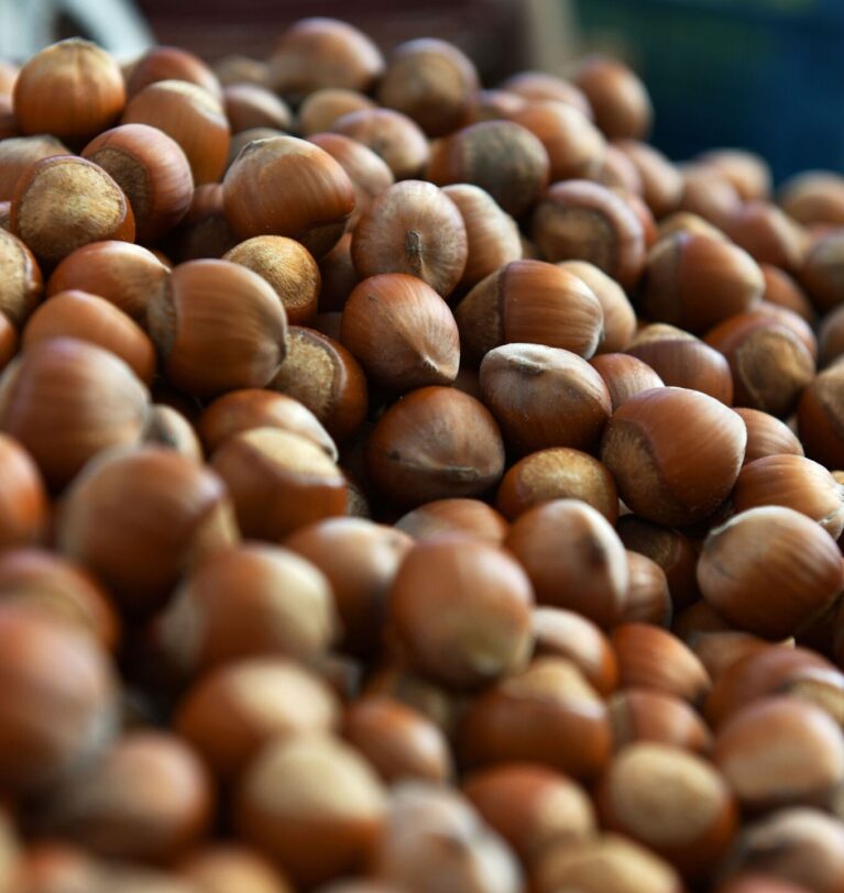 Ukrainian varieties of hazelnuts do not differ from imported ones