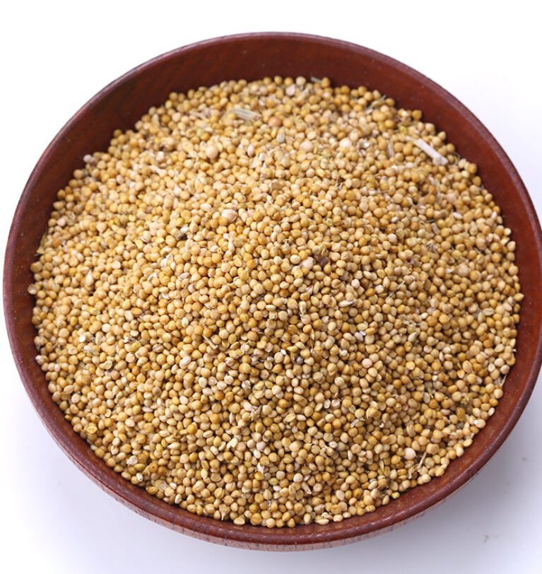 White and yellow millet for export from Ukraine