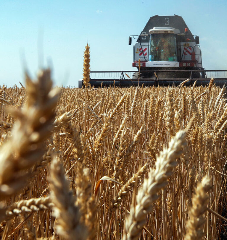 What is needed to export rye from Ukraine?