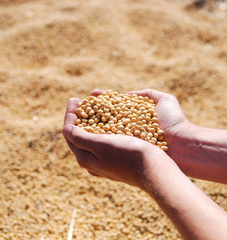 What is needed to export soybeans from Ukraine?
