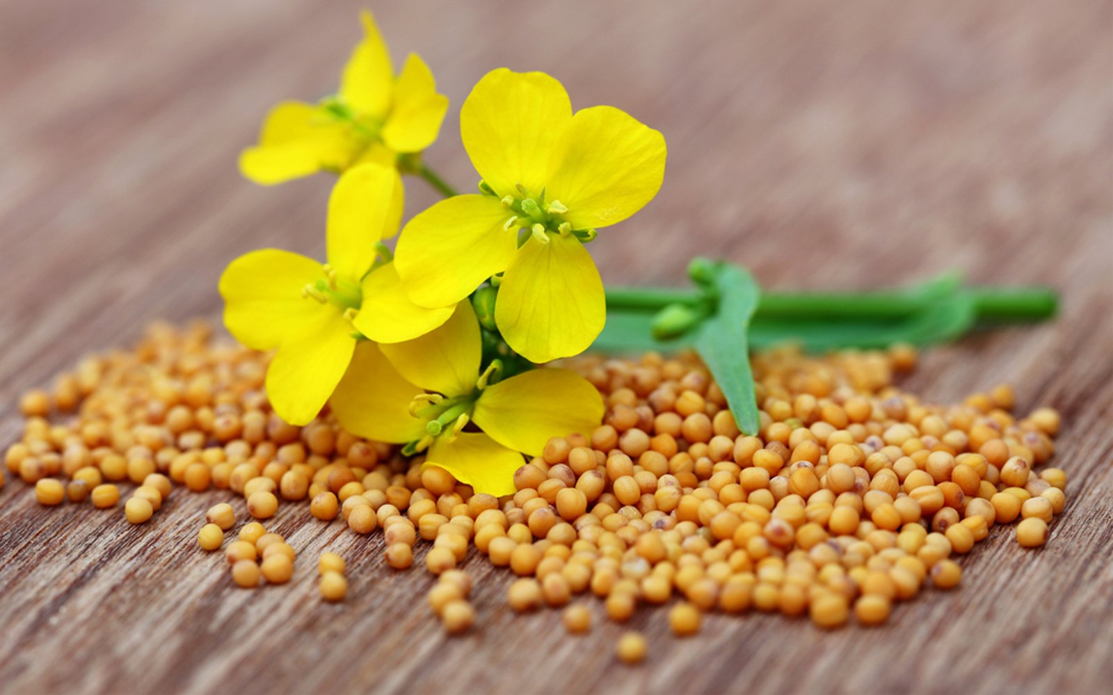 mustard-seeds.jpg
