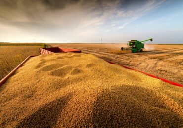Due to the decrease in export demand, the price policy for soybeans is changing