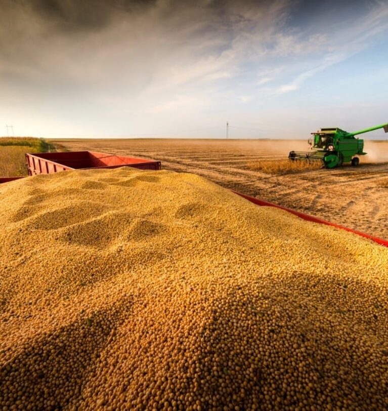 Due to the decrease in export demand, the price policy for soybeans is changing