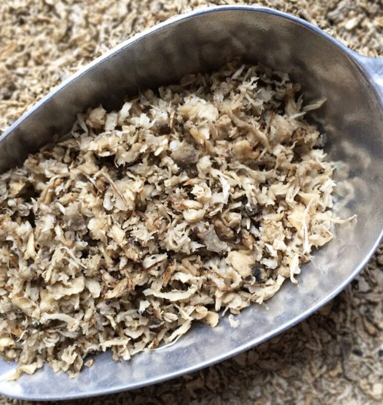 What is needed to export sugar beet pulp from Ukraine?